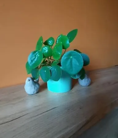 L'étape Saint-joseph Brunehaut